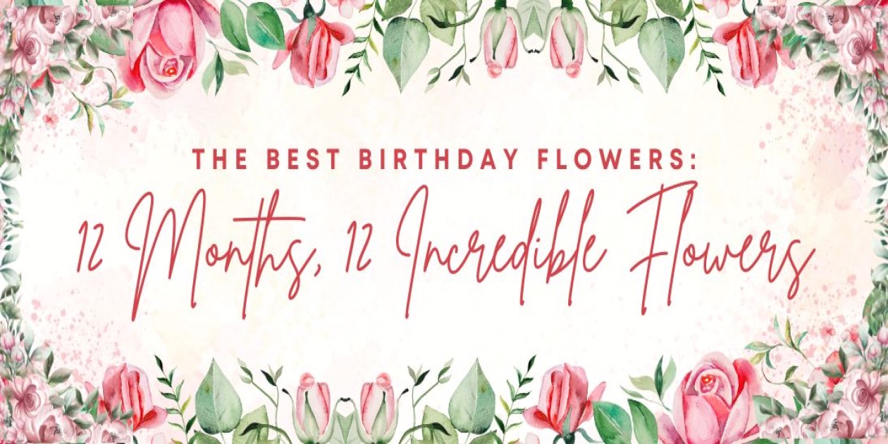 best birthday flowers in dubai 