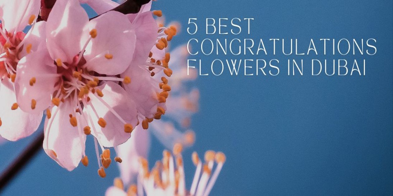 Best Congratulations Flowers in Dubai