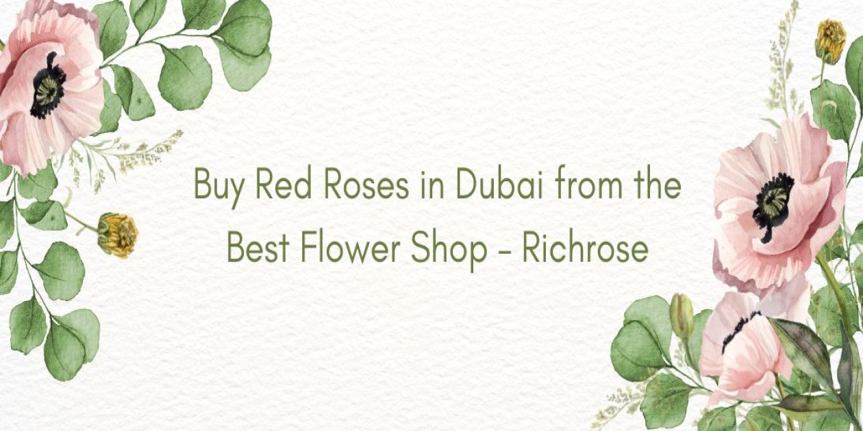 Buy Red Roses in Dubai from the Best Flower Shop – Richrose