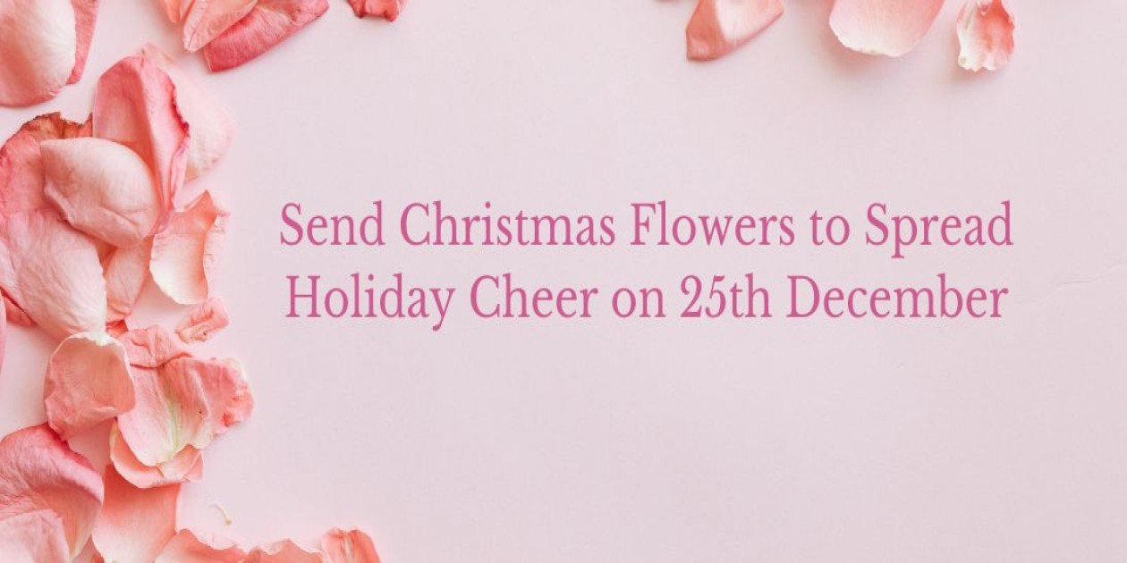 Send Christmas Flowers to Spread Holiday Cheer on 25th December