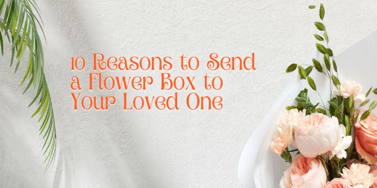 10 Reasons to Send a Flower Box to Your Loved One