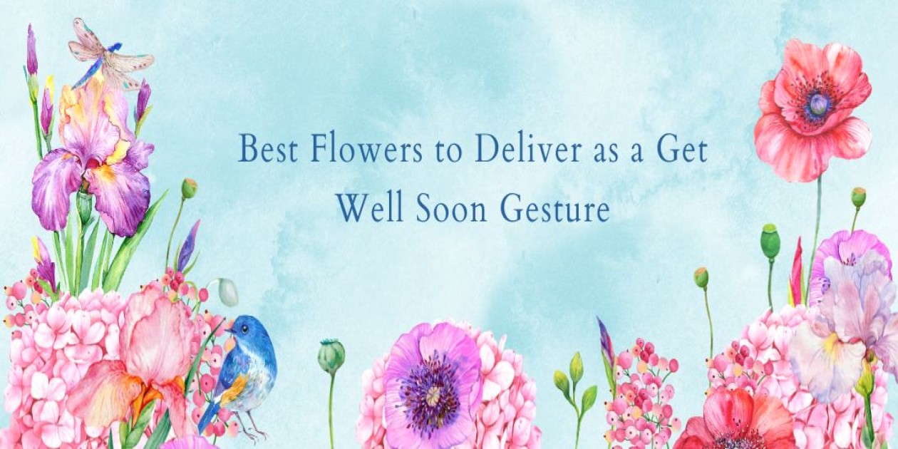 Best Flowers to Deliver as a Get Well Soon Gesture