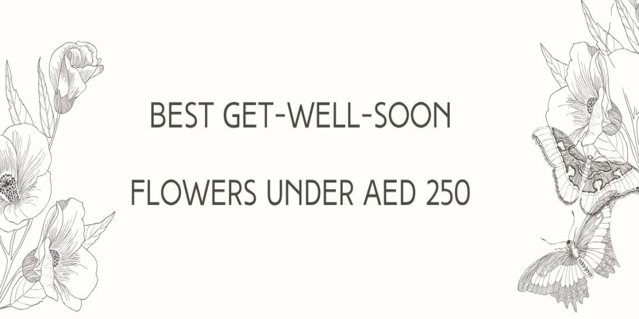 Best Get-Well-Soon Flowers Under AED 250