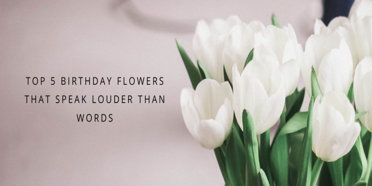 Top 5 Birthday Flowers That Speak Louder Than Words
