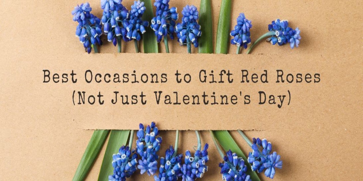 Best Occasions to Gift Red Roses (Not Just Valentine's Day)