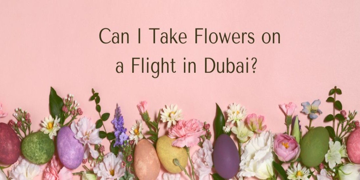 Can I Take Flowers on a Flight in Dubai?
