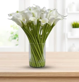 Flowers with vase