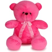 Pink Teddy 35 cm