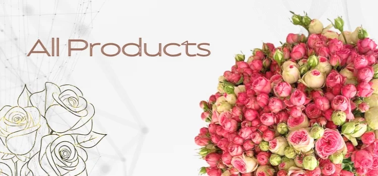 All Products