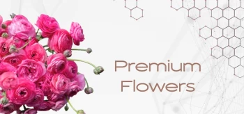 Premium Flowers