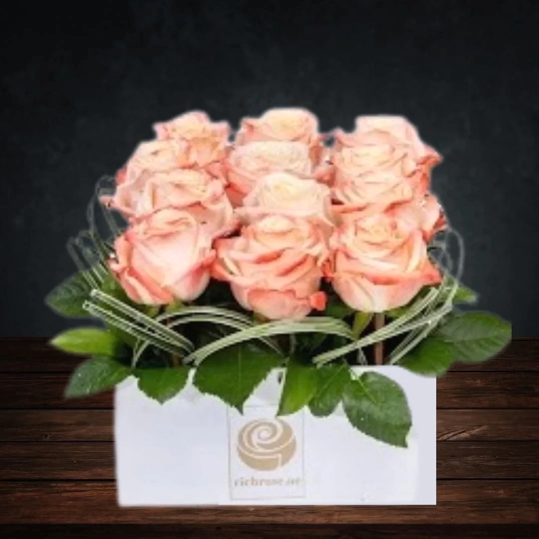 NIAMEY- Graceful Roses in Box
