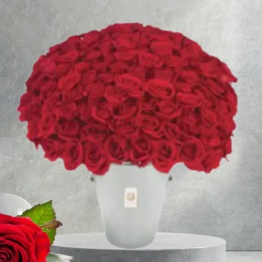 SANDRA - Valentines Red Roses in Box