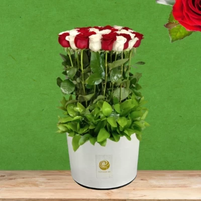 Rohi - Valentine's Red and White Roses Box 