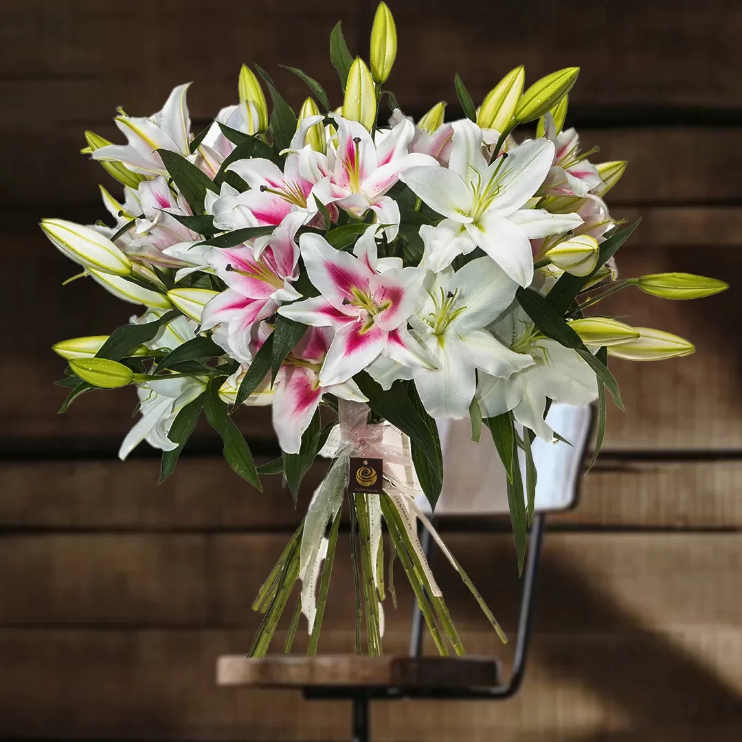BERLIN- Pink Lily Bunch