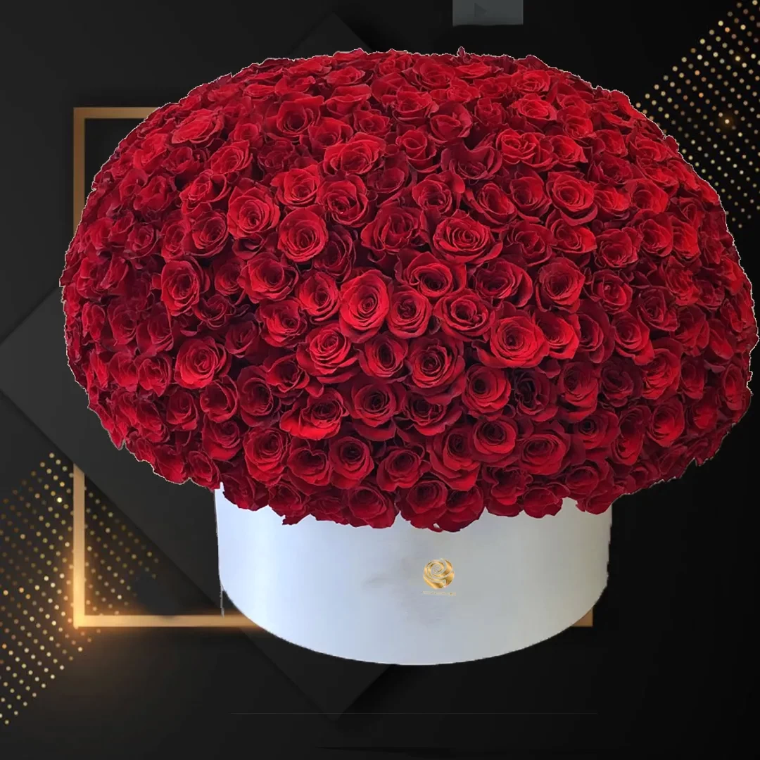 Andorra - Valentine Three Hudred Red Roses Box Arrangment