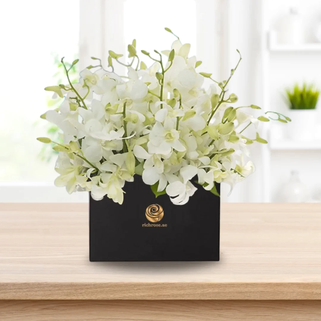 MALE - White Orchid Box