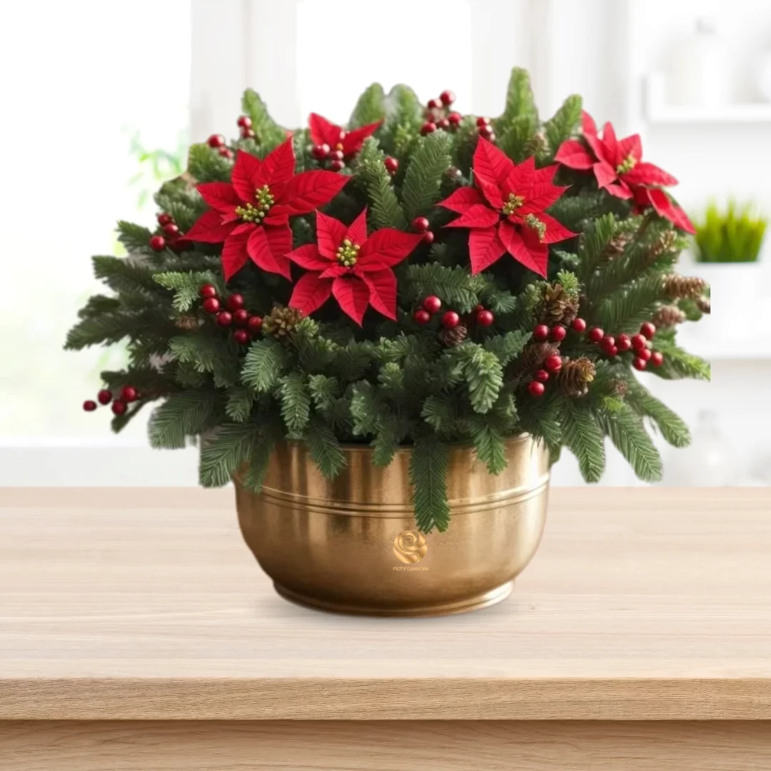 Golden Poinsettia Joy