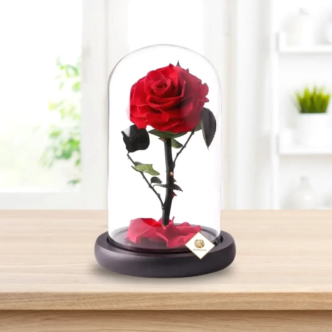 Single Red Forever Rose in Glass Dome – 20 cm Preserved Eternal Rose