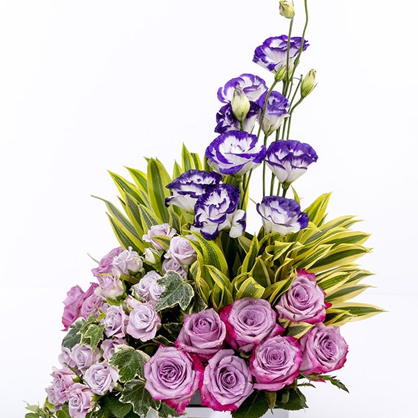 VILNIUS- Estoma & Purple Roses in a  Box