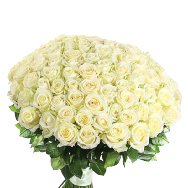 Manama - Valentine's Compromise White Rose Bunch