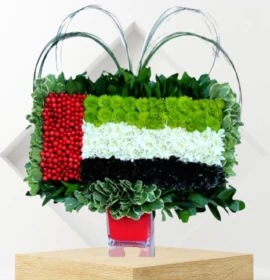 UAE Flag Color Arrangement in Box