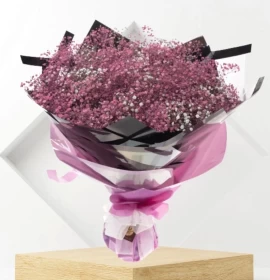 purple gypso - flowers to congratulate