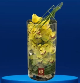 yellow cymbidium - online flower delivery dubai