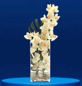 green cymbidium in vase - flowers in vase