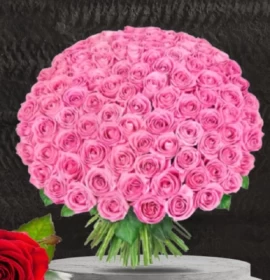 100 pink roses bunch - hundred roses bunch