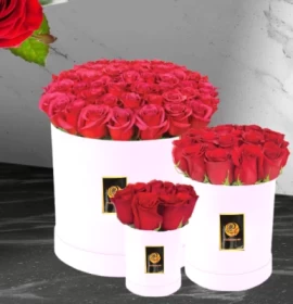 red roses boxes combo