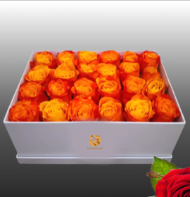 orange roses in square box - orange roses dubai