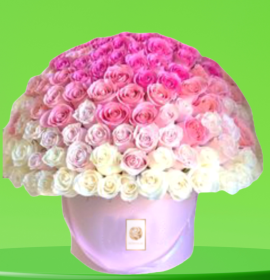 pink and white flowers in premium flowers box