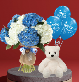 white blue hydrangea - flowers and balloons