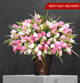 mixed tulips luxury flowers  