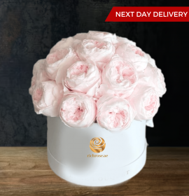 light pink peony box - luxury flower delivery