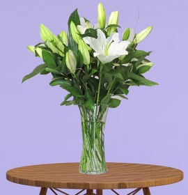 White Lilies is Cylinder Vase