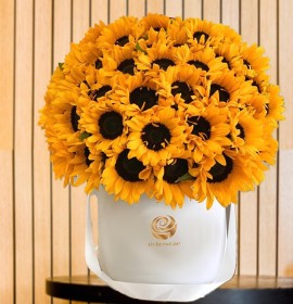sun flowers in box