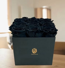 Black rose in box