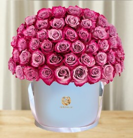 purple roses in white flower box