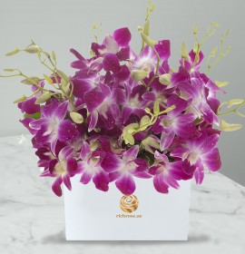 purple orchid box - lower box arrangement