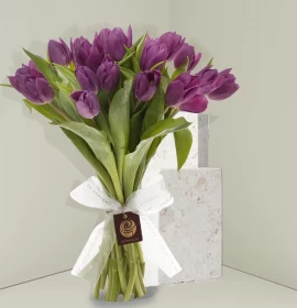 purple tulip bunch - flowers for womens day