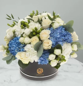 blue white hydrangea in box - online flowers