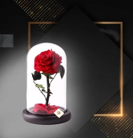 Single Red Forever Rose 20 cm - Eternal Rose - Preserved Rose