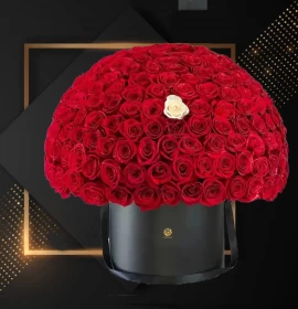 Luxury red roses