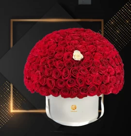luxury Red Roses box 