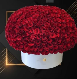 300 red roses in flower box - valentine gift delivery