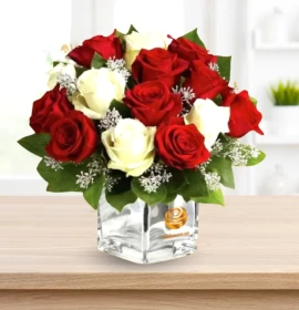 Red and White Roses in Vase - Christmas Flowers