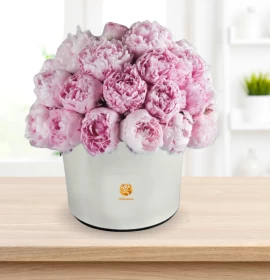 Melbourne - Luxurious Peony Box 