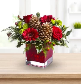 Christmas Flowers