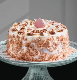 COCONUT CHOCOLATE CAKE - Chocolate cake draped in Coconut. 